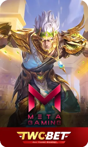 meta gaming